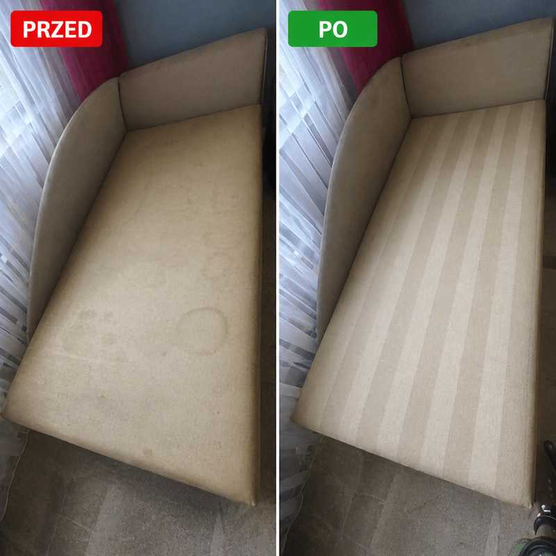 Roztocza w domu – gdzie ukrywają się najczęściej i jak skutecznie ograniczyć ich ilość?