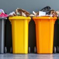 Gdzie wyrzucać jakie śmieci? Praktyczny poradnik segregacji odpadów