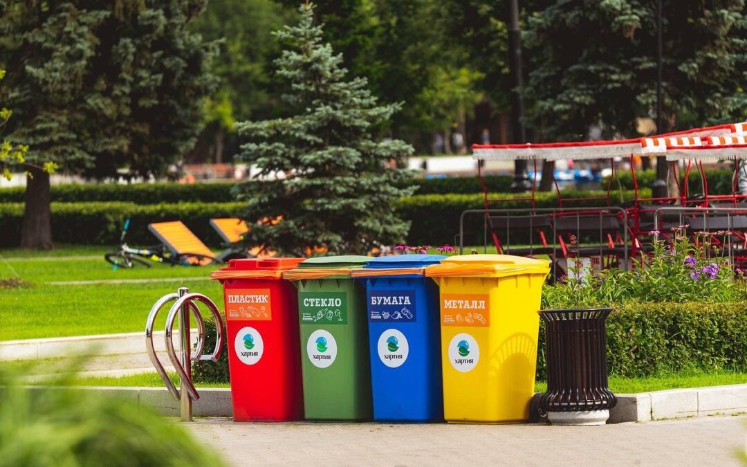 Segregacja śmieci gdzie wyrzucać puszki?