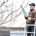 Trawy ozdobne czy przycinać na zimę?